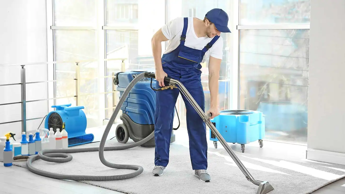 What to expect during a professional carpet cleaning service